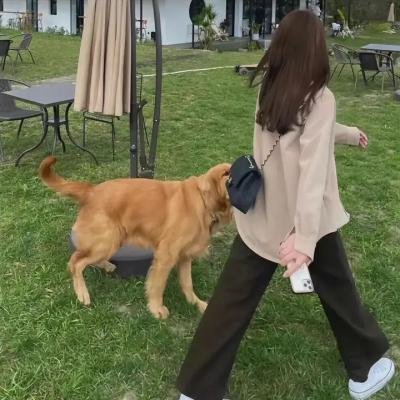 仙女特攻队